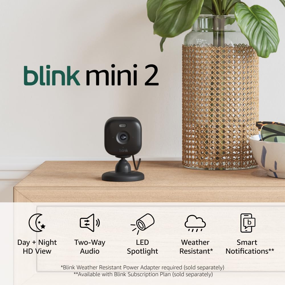 Blink Mini 2